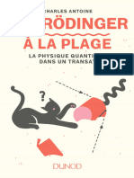 Antoine Charles- Schrodinger a La Plage