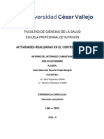 INFORME COMUNITARIO NOVIEMBRE DULCE PINEDA RENGIFO