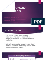 PITUITARY GLAND