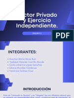 Equipo 5 Sector Privado y Ejercicio Independiente