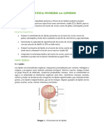 PRACTICA NUMERO 10 LIPIDOS LIS