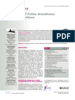 AAFP Feline Anaesthesia Guidelines