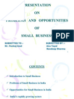 Small Scale Business NEW