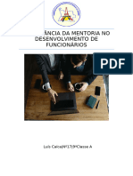 IMPORTÂNCIA DA MENTORIA NO DESENVOLVIMENTO DE FUNCIONÁRIOS