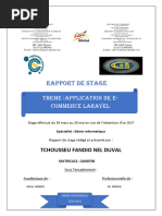 RAPPORT STAGE DUT