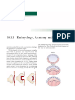 Postgraduate Ophthalmology Vol One Comprimido 974 1091