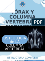 Torax y Columna Vertebral - Mediastino