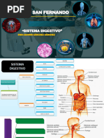 SISTEMA DIGESTIVO - AULA 402 2s 42292 0