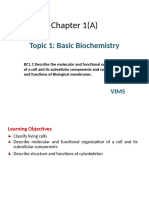 CELL - revision