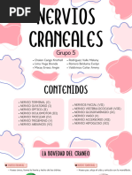 GRUPO 5 - NERVIOS CRANEALES