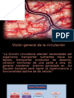 5 visión general de la circulación