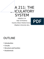 Ana 211 the Circulatory-wps Office