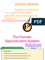 12 13 Female Reproductive System PowerPoint