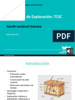 2C. G Semiología de Exploración TCSC