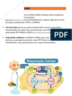 RESPIRAÇÃO CELULAR