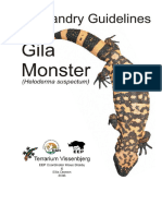 gila-monster-heloderma-suspectum2