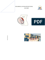 grupo 2 Mef patologico en gest. a termino completado