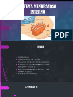 Sistema Menbranoso Interno 240912 232800