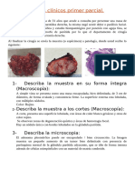 Casos Primer Parcial, Anatomia Patologica. (1)