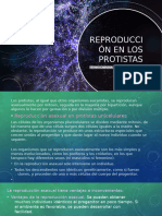 1660823745141_exposicion de Ciencias