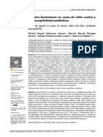 00270701423IA05S11114989Lectura12.AgentebacterianoencasodeOtitiscaninaysusuceptibilidadantibiotica