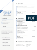 Modern Professional CV Resume (1)