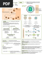 Virus Generalidades