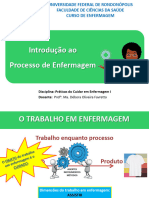 Resumo da aula - Introdução ao processo de enfermagem (parte 1)