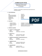 CURRICULUM VITAE PLANTILLA BASICA