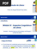 [UFMS Digital] ESTUDO DE LIBRAS - LICENCIATURAS - Videoaula do Módulo 4 - Unidade 1 