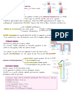 Resumen Fisio Renal