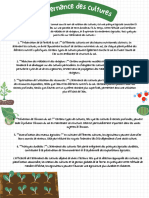 Process of Photosynthesis Science Educational Poster in Green Blue and Yellow Illustrative Style