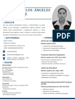 Curriculum Profesional y Moderno Con Foto Azul y Negro.pdf