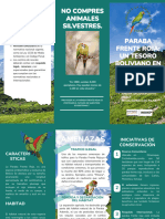 Folleto Tríptico Informativo Naturaleza Infantil Ilustrado Azul y Verde