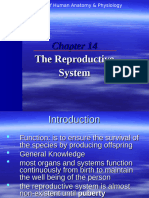 11. Reproductive System 2