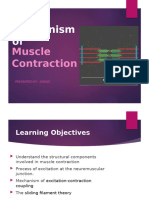 Mechanism of Muscular Contraction