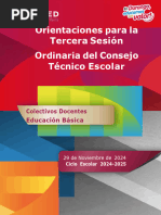 Orient Estatales 3a Sesion CTE Colectivos Docentes