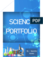 Sparsho Kundu Portfolio