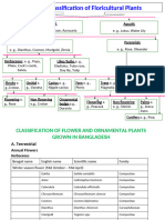 4. List of Flower  Ornamental Plants Grown In BD