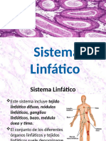 Sistema Linfatico