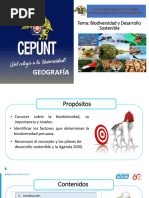 Geografía 24