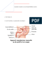 Reproduction-et-comportements-responsables