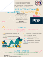 4. Sector de intermediarios financieros no bancarios