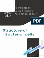 L2 Bacteria