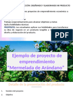 EJEMPLO DE Proyecto mermelada de Arándano 3° secundaria (2)