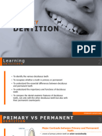 Primary Dentition (2)