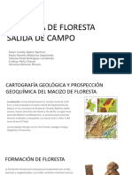 Geología de floresta Grupo _ (1)