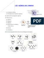 Bloque III -QuÃ­mica del Carbono