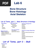 6.Axial Skeleton.sp23 2