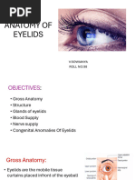 EYELIDS (1)